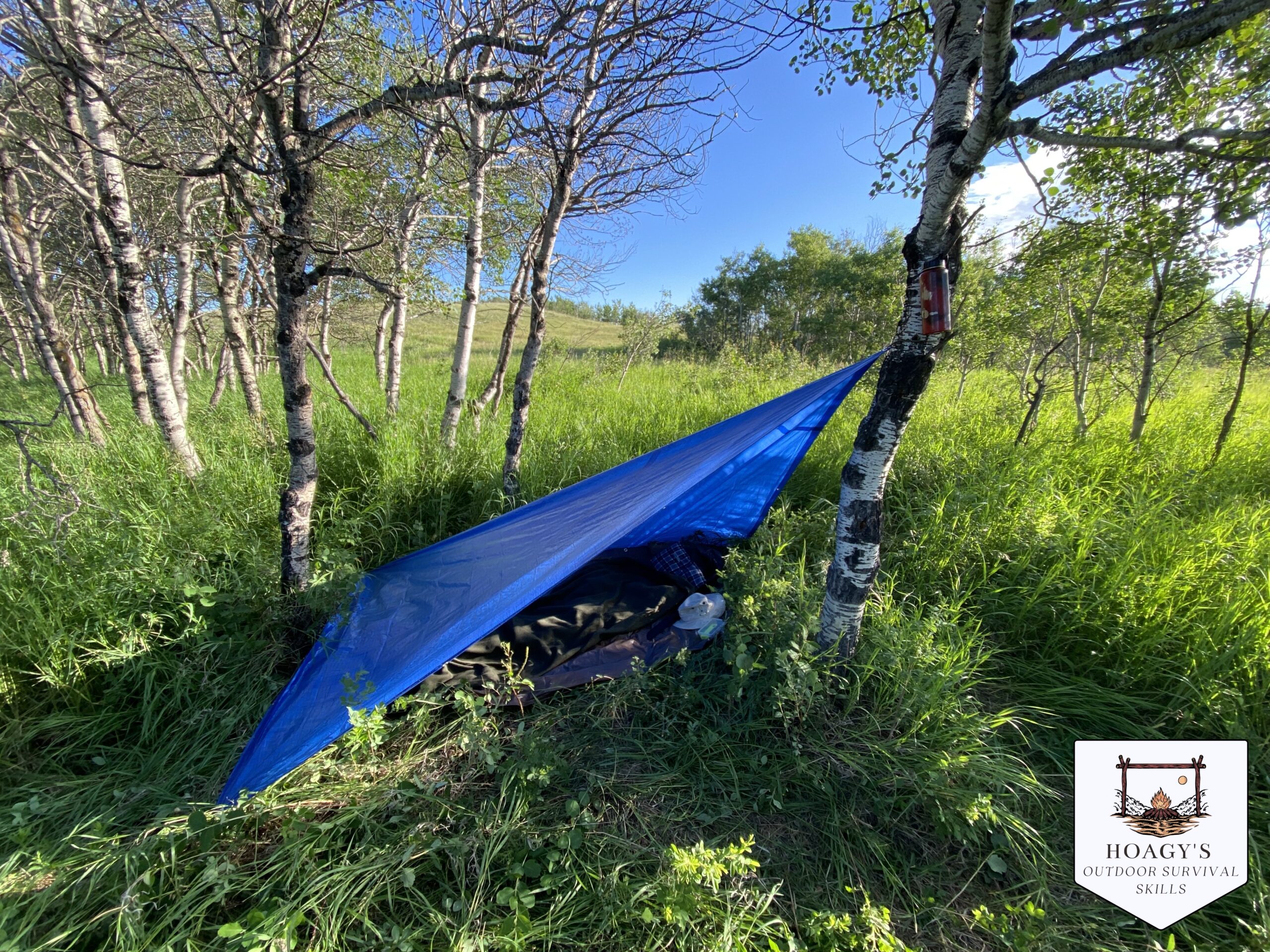 From Practice to Progress: Survival Skills That Stick